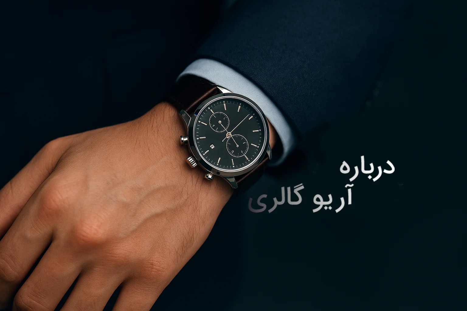 درباره آریو گالری